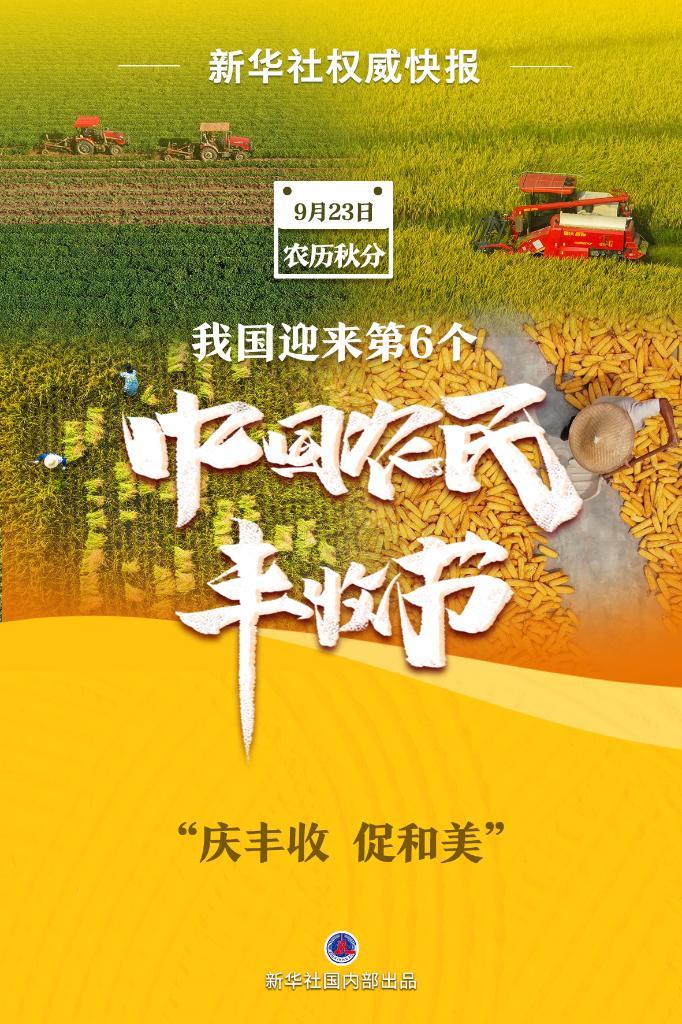 问鼎下载链接
